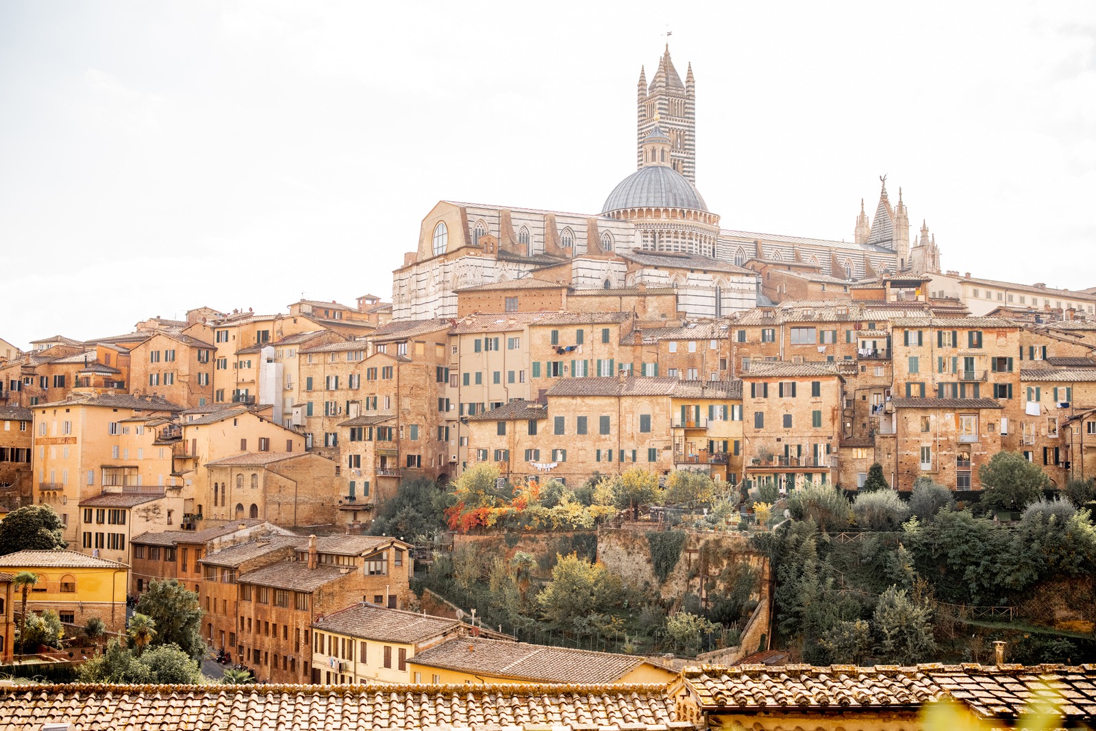 cities_bg (1).webp