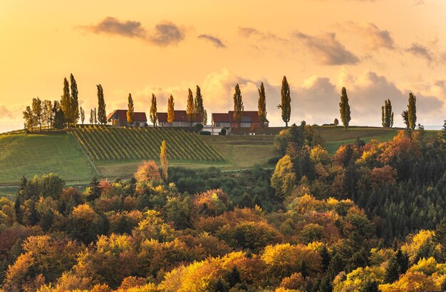 Chianti landscape