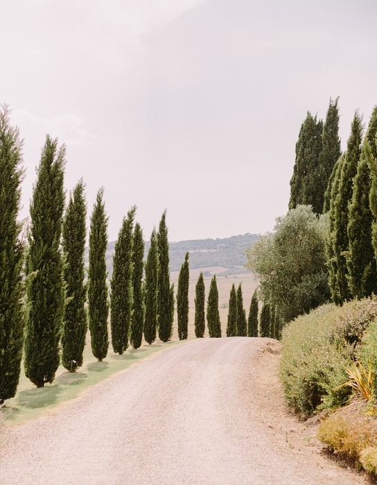 san-gimignano-love-you_t20_xvwX6g.jpg